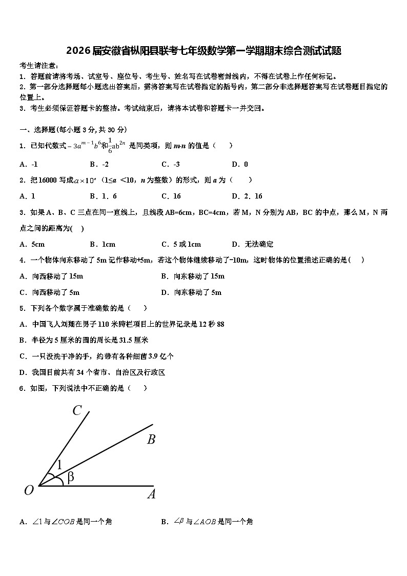 2026届安徽省枞阳县联考七年级数学第一学期期末综合测试试题含解析第1页