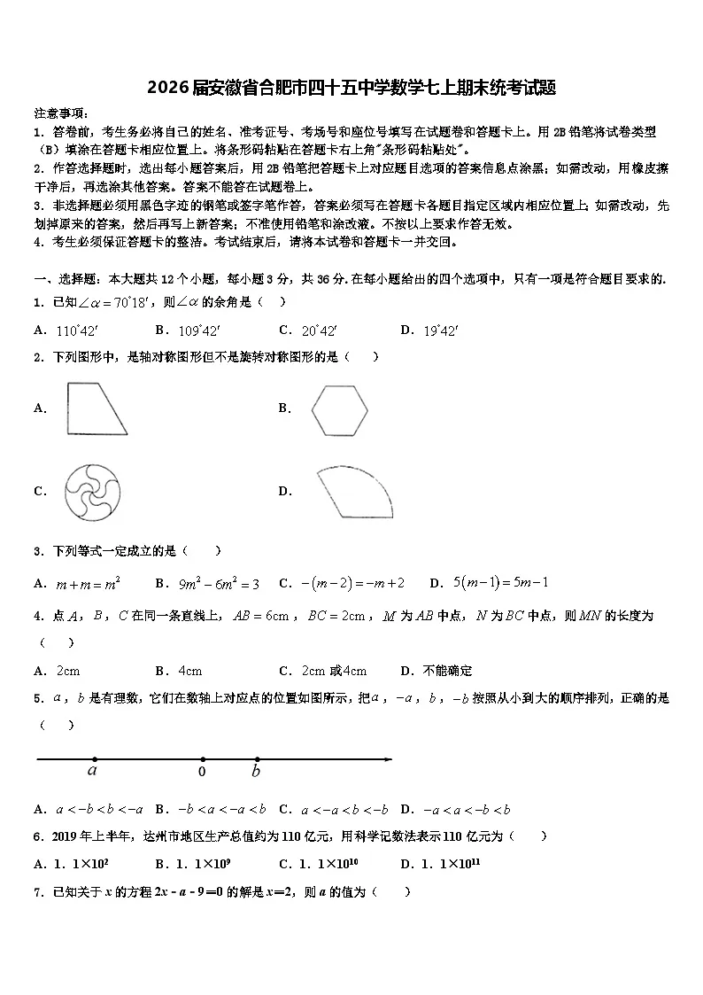 2026届安徽省合肥市四十五中学数学七上期末统考试题含解析第1页
