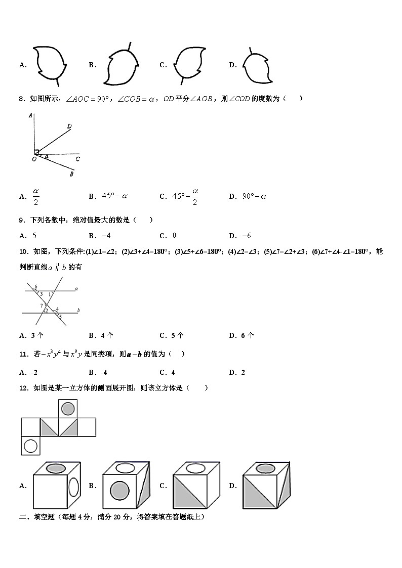 2026届安徽省合肥市中学国科技大附中数学七上期末联考模拟试题含解析第2页