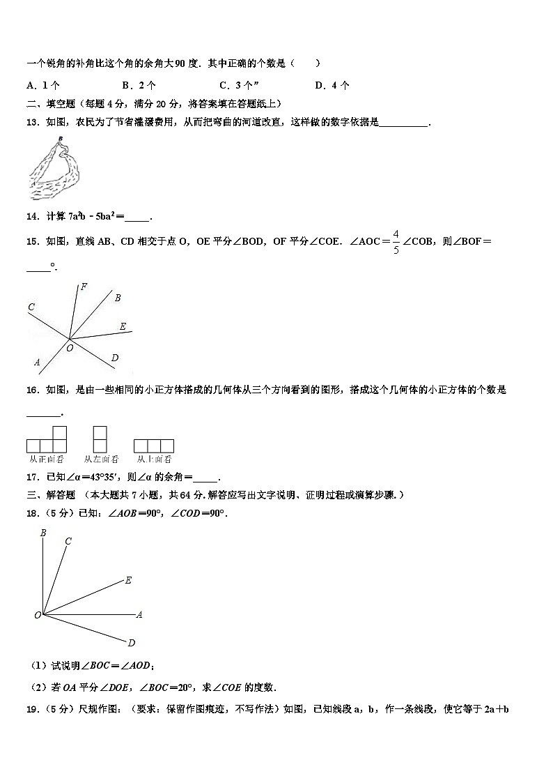 2026届安徽省合肥市肥东县数学七上期末联考试题含解析第3页