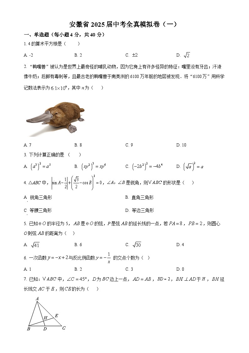 2025年安徽省淮南市中考一模数学试题（原卷版）-A4第1页