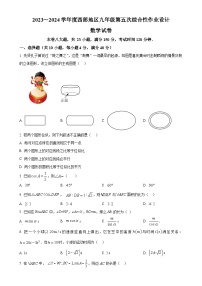 安徽淮南市西部地区九年级下学期第一次月考数学试题（原卷版）-A4