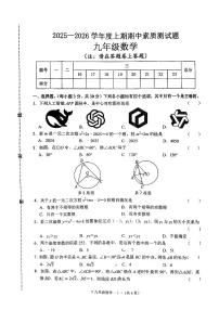 河南省驻马店市汝南县2025-2026学年九年级上学期11月期中考试数学试题