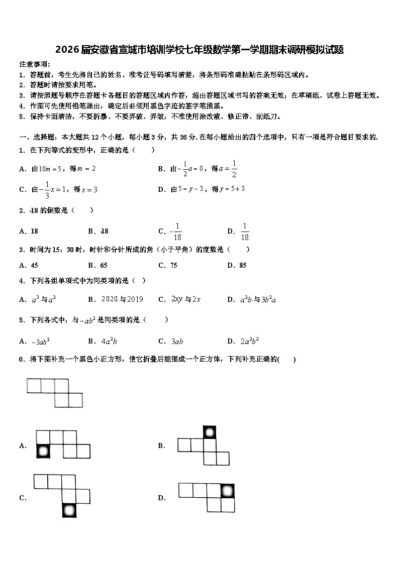 2026届安徽省宣城市培训学校七年级数学第一学期期末调研模拟试题含解析第1页