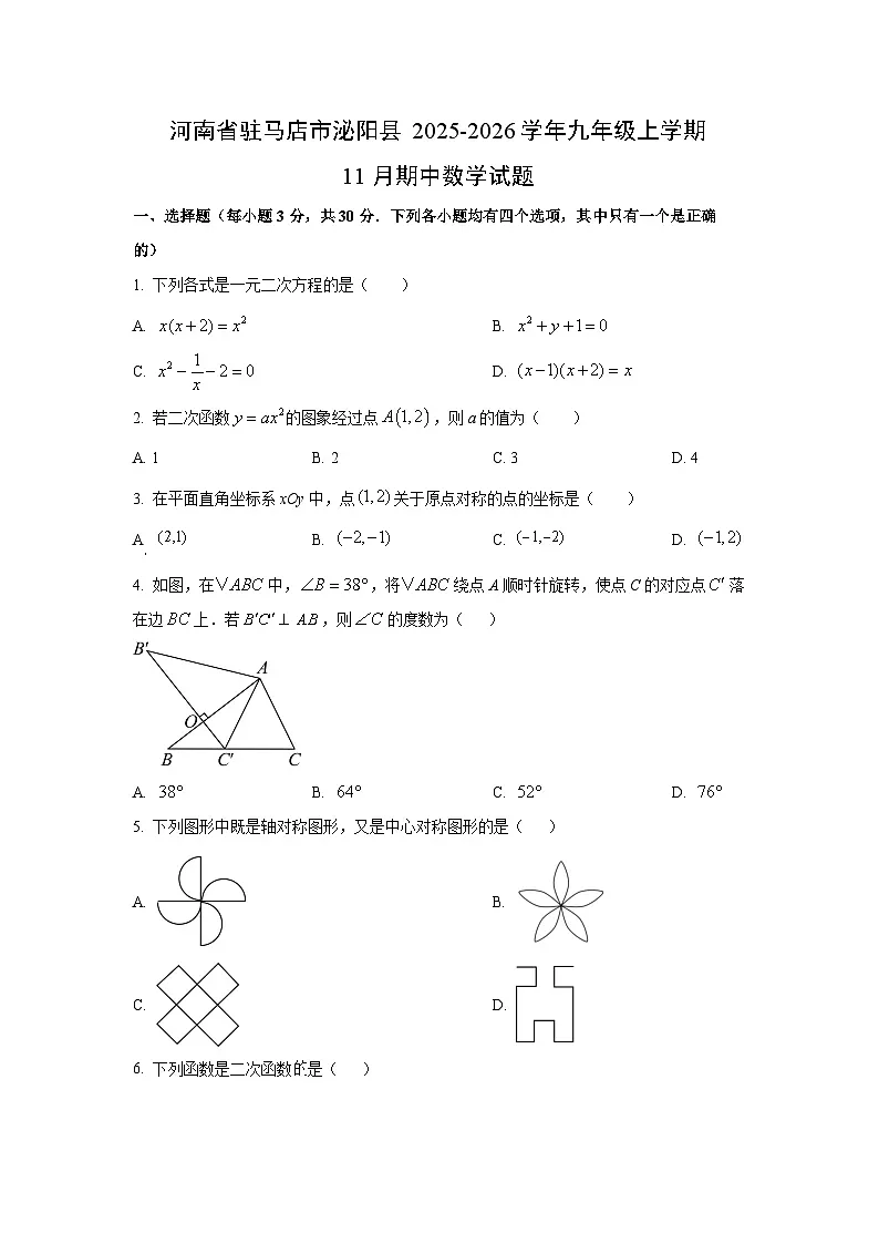 河南省驻马店市泌阳县2025-2026学年九年级上学期11月期中数学试卷（学生版）第1页