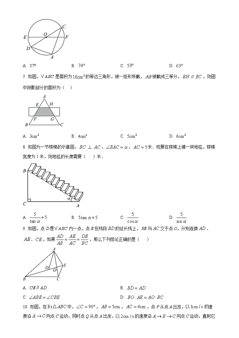 安徽省滁州市全椒县上学期九年级期末考试数学试卷 （原卷版）-A4第2页