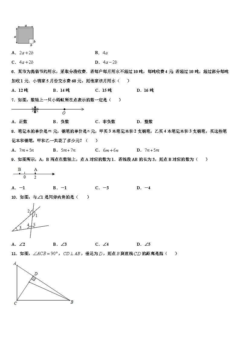 2026届福建省厦门市瑞景外国语分校数学七上期末联考模拟试题含解析第2页
