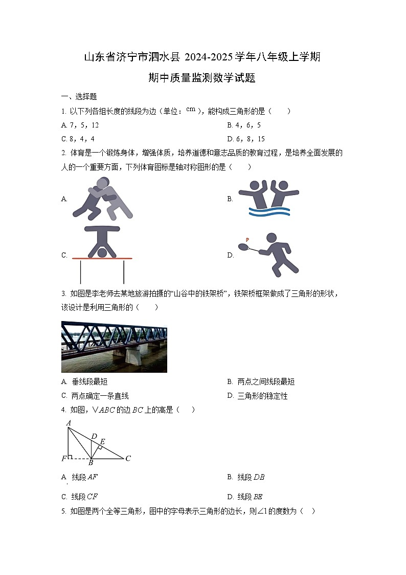 山东省济宁市泗水县2024-2025学年八年级上学期期中质量监测数学试卷（学生版）第1页