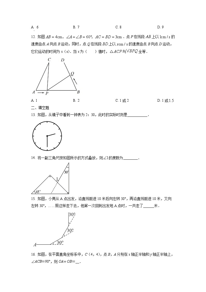 河北省石家庄市赵县2024-2025学年八年级上学期11月期中考试数学试卷（学生版）第3页