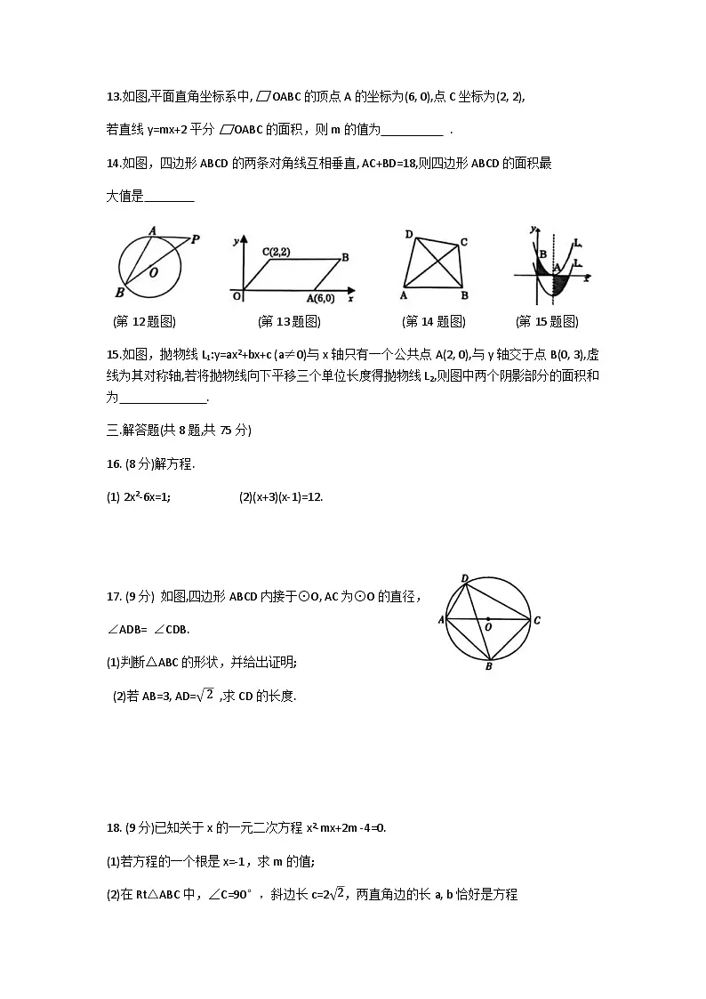 河南省商丘市柘城县2025-2026学年九年级上学期11月期中数学试卷（无答案）第3页