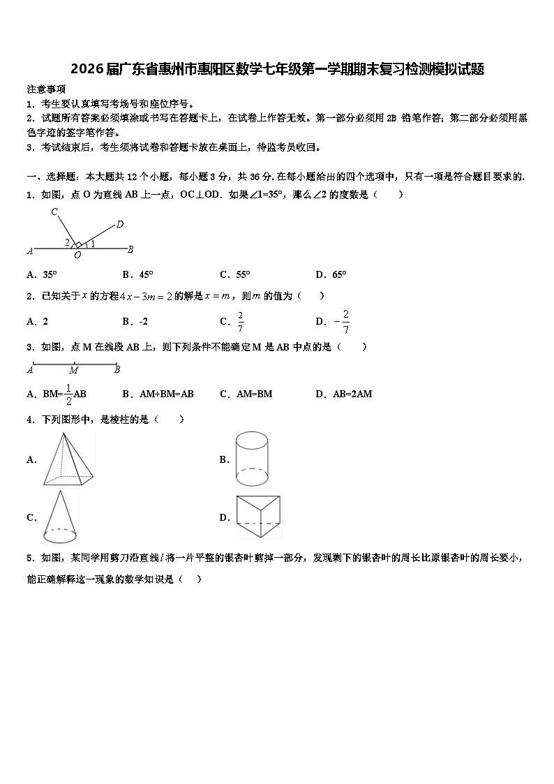 2026届广东省惠州市惠阳区数学七年级第一学期期末复习检测模拟试题含解析第1页
