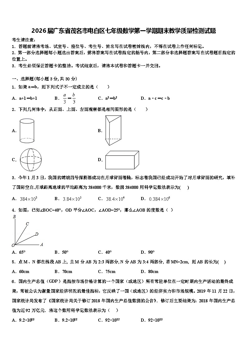 2026届广东省茂名市电白区七年级数学第一学期期末教学质量检测试题含解析第1页