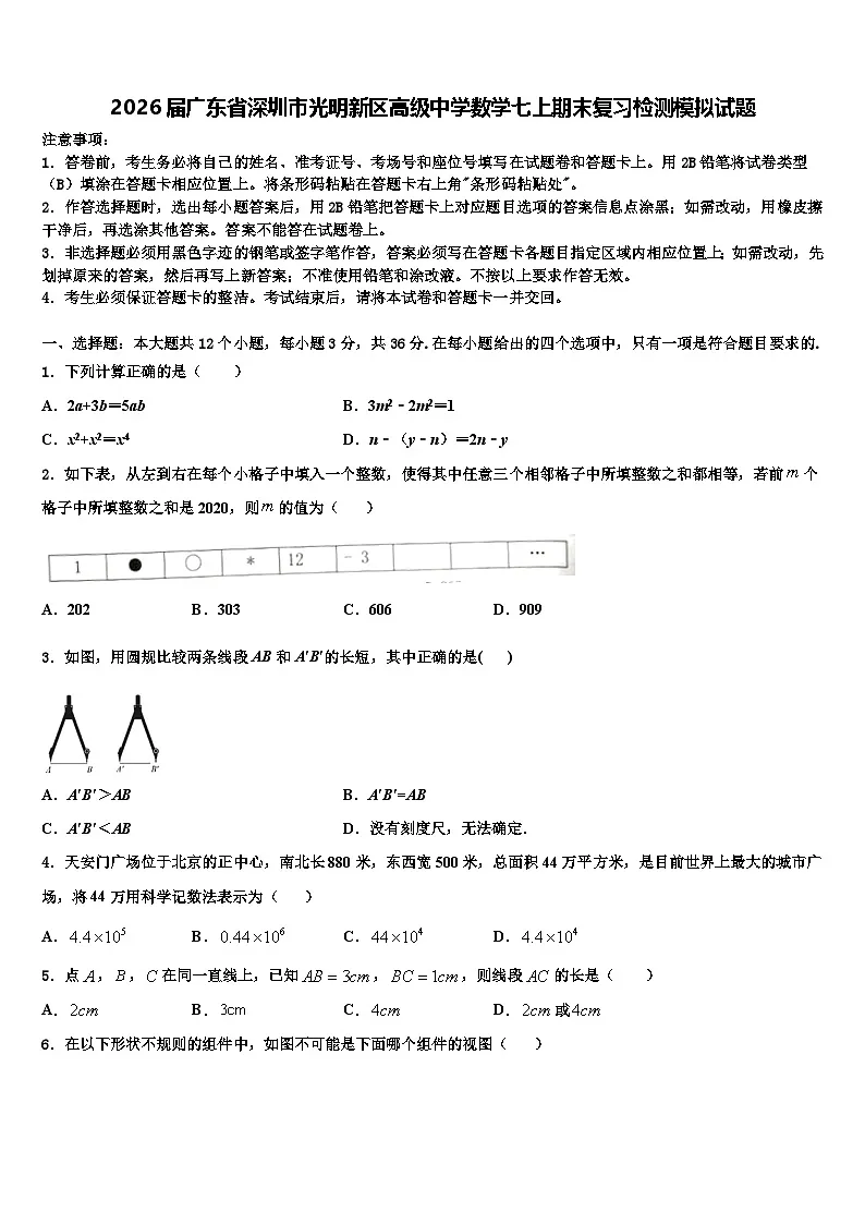 2026届广东省深圳市光明新区高级中学数学七上期末复习检测模拟试题含解析第1页