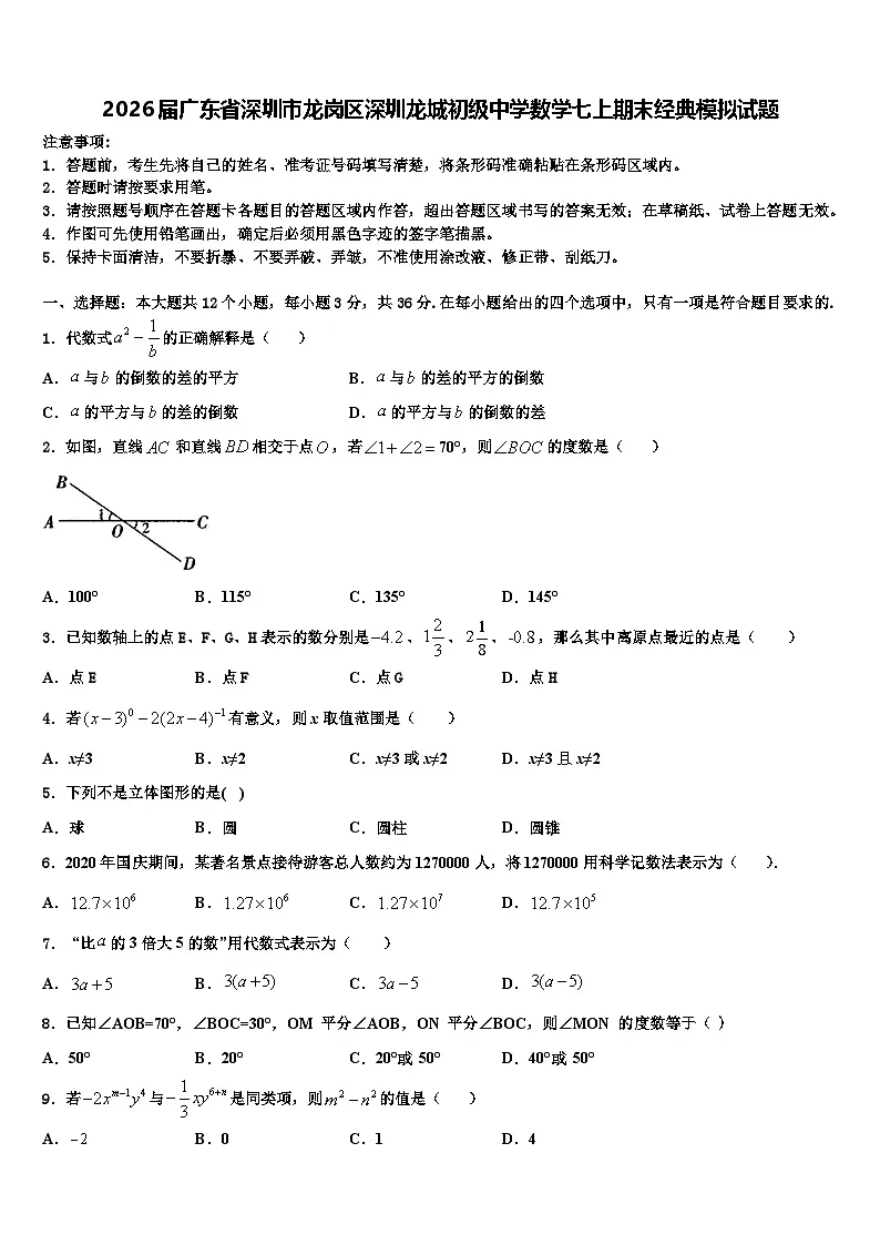 2026届广东省深圳市龙岗区深圳龙城初级中学数学七上期末经典模拟试题含解析第1页