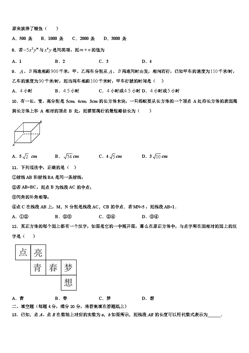 2026届广东省深圳市罗湖区罗湖中学数学七年级第一学期期末经典试题含解析第2页