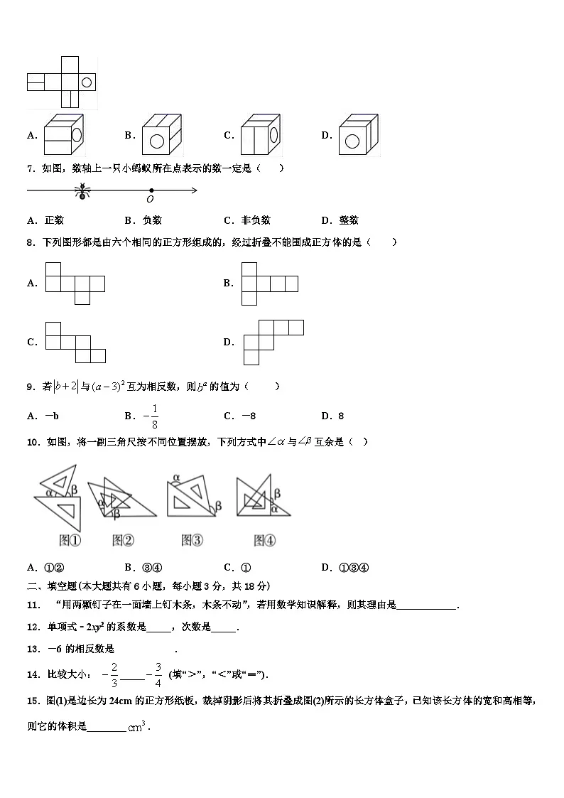 2026届广东省深圳市育才一中学数学七年级第一学期期末教学质量检测试题含解析第2页