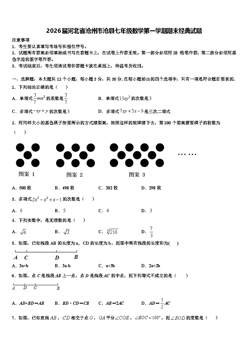 2026届河北省沧州市沧县七年级数学第一学期期末经典试题含解析第1页