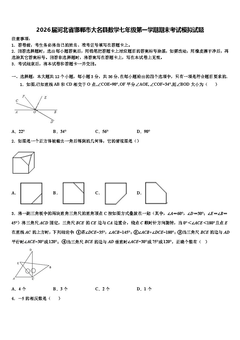 2026届河北省邯郸市大名县数学七年级第一学期期末考试模拟试题含解析第1页
