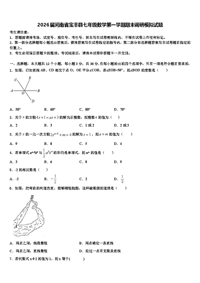 2026届河南省宝丰县七年级数学第一学期期末调研模拟试题含解析第1页
