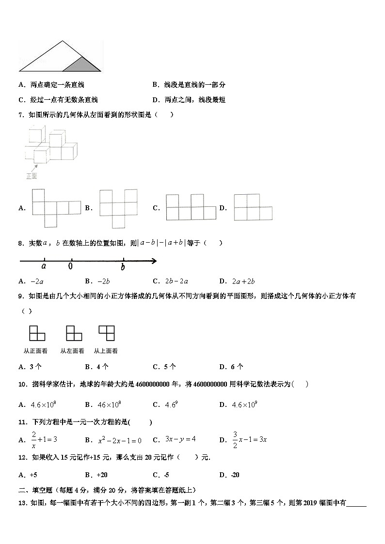 2026届河南省淮阳第一高级中学七年级数学第一学期期末检测模拟试题含解析第2页