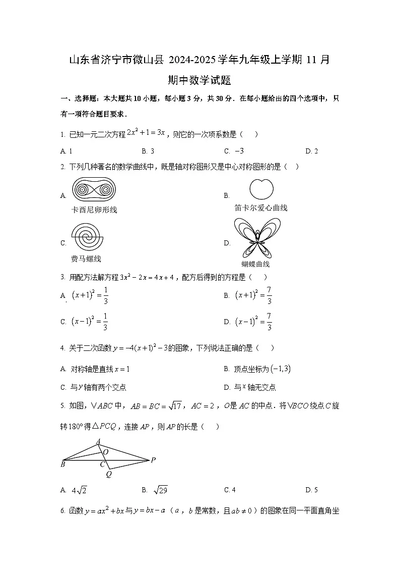 山东省济宁市微山县2024-2025学年九年级上学期11月期中数学试卷（学生版）第1页