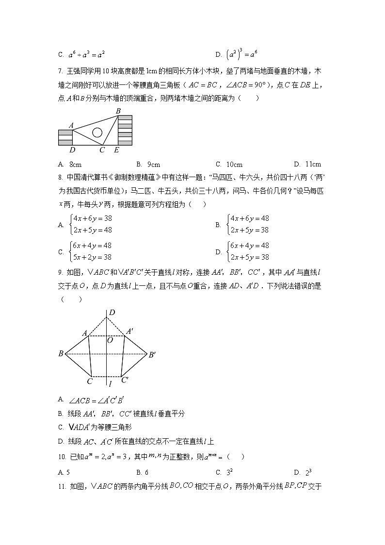 广西南宁市青秀区2025-2026学年八年级上学期11月期中质量检测数学试卷（学生版）第2页