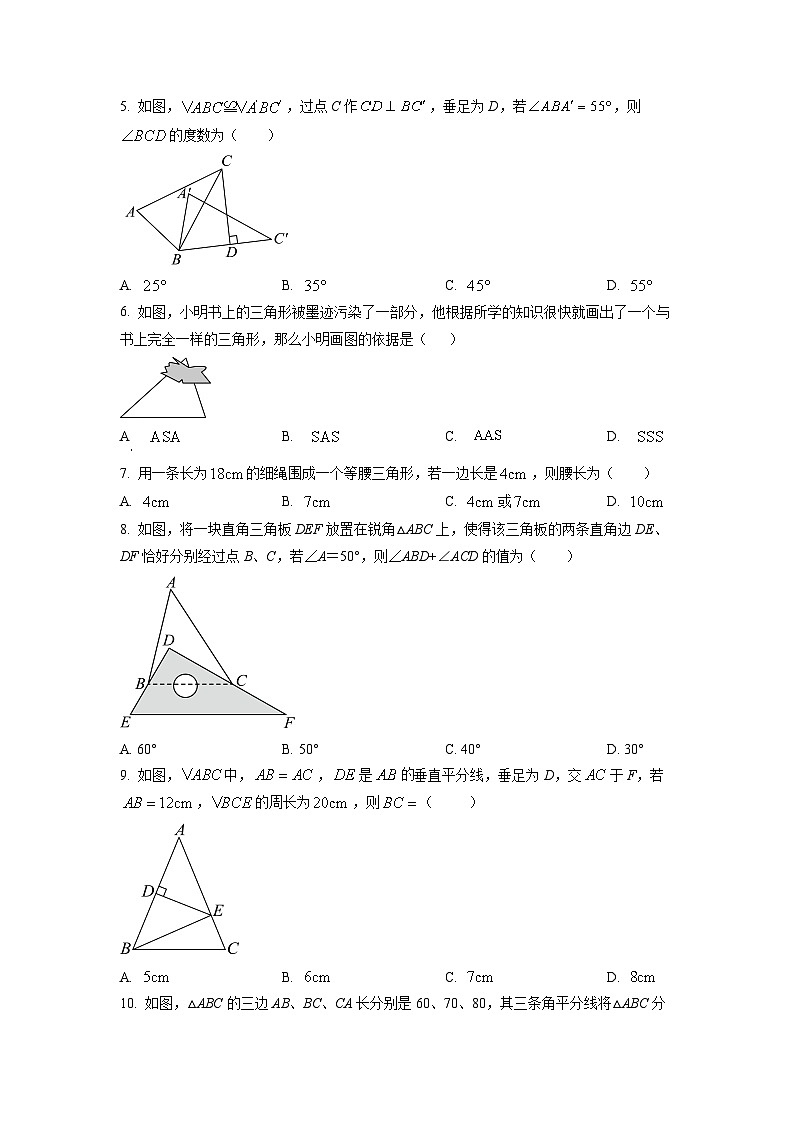 山东省济宁市曲阜市2024-2025学年八年级上学期11月期中考试数学试卷（学生版）第2页