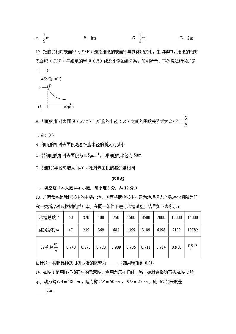 广西南宁市青秀区2025-2026学年九年级上学期11月期中数学试卷（学生版）第3页