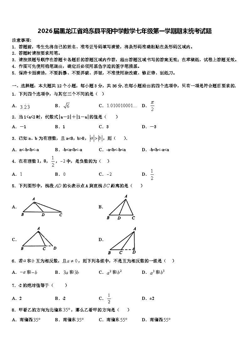 2026届黑龙江省鸡东县平阳中学数学七年级第一学期期末统考试题含解析第1页