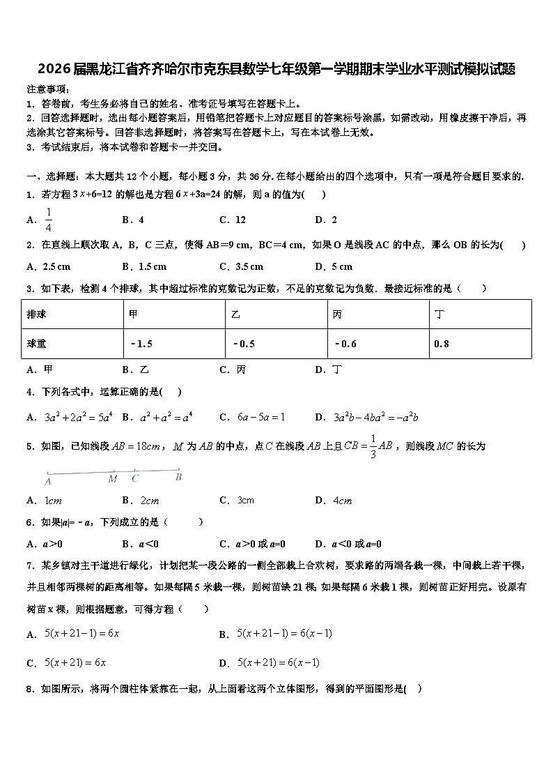 2026届黑龙江省齐齐哈尔市克东县数学七年级第一学期期末学业水平测试模拟试题含解析第1页