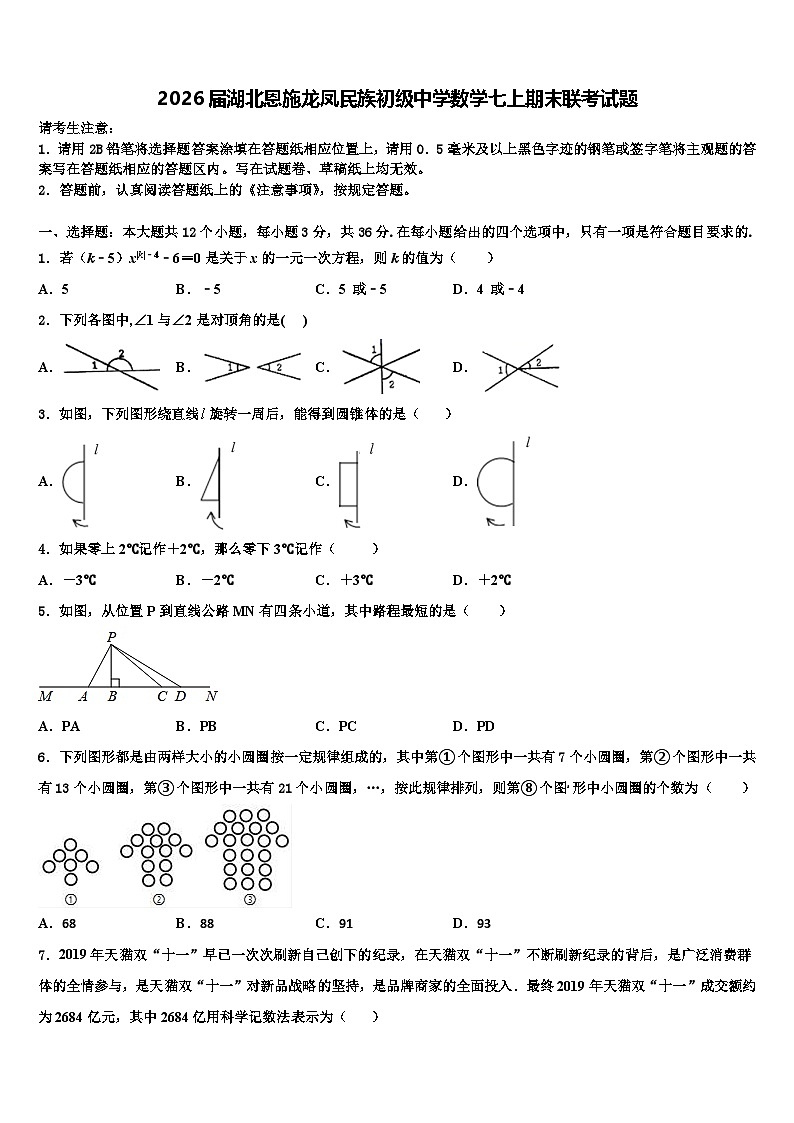 2026届湖北恩施龙凤民族初级中学数学七上期末联考试题含解析第1页