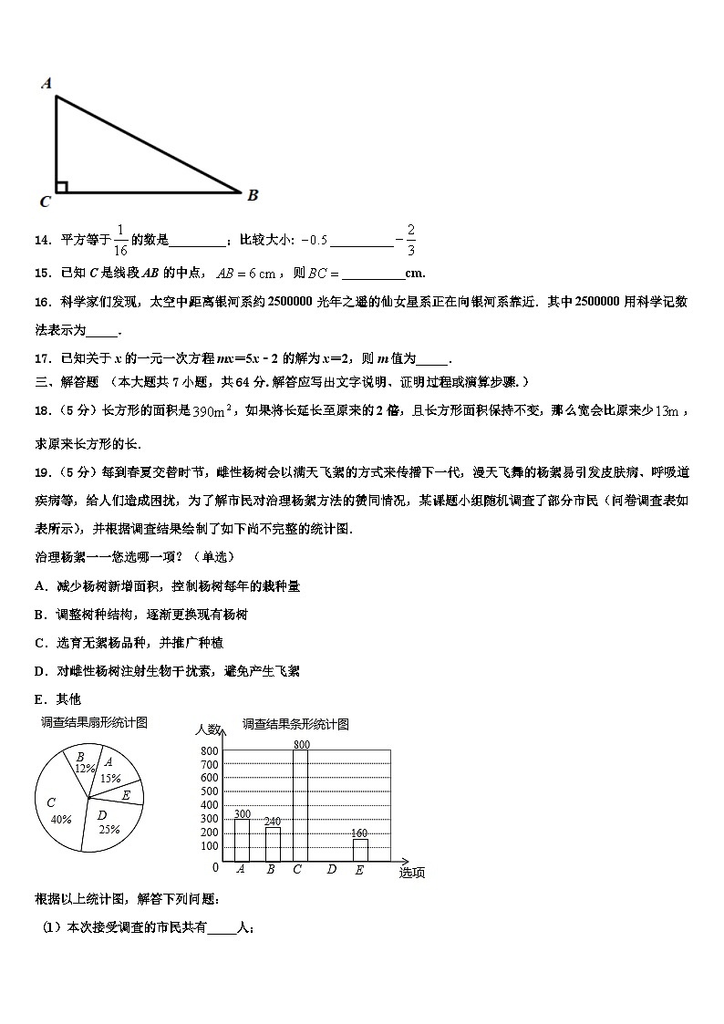 2026届湖北省黄石市大冶市数学七年级第一学期期末联考模拟试题含解析第3页