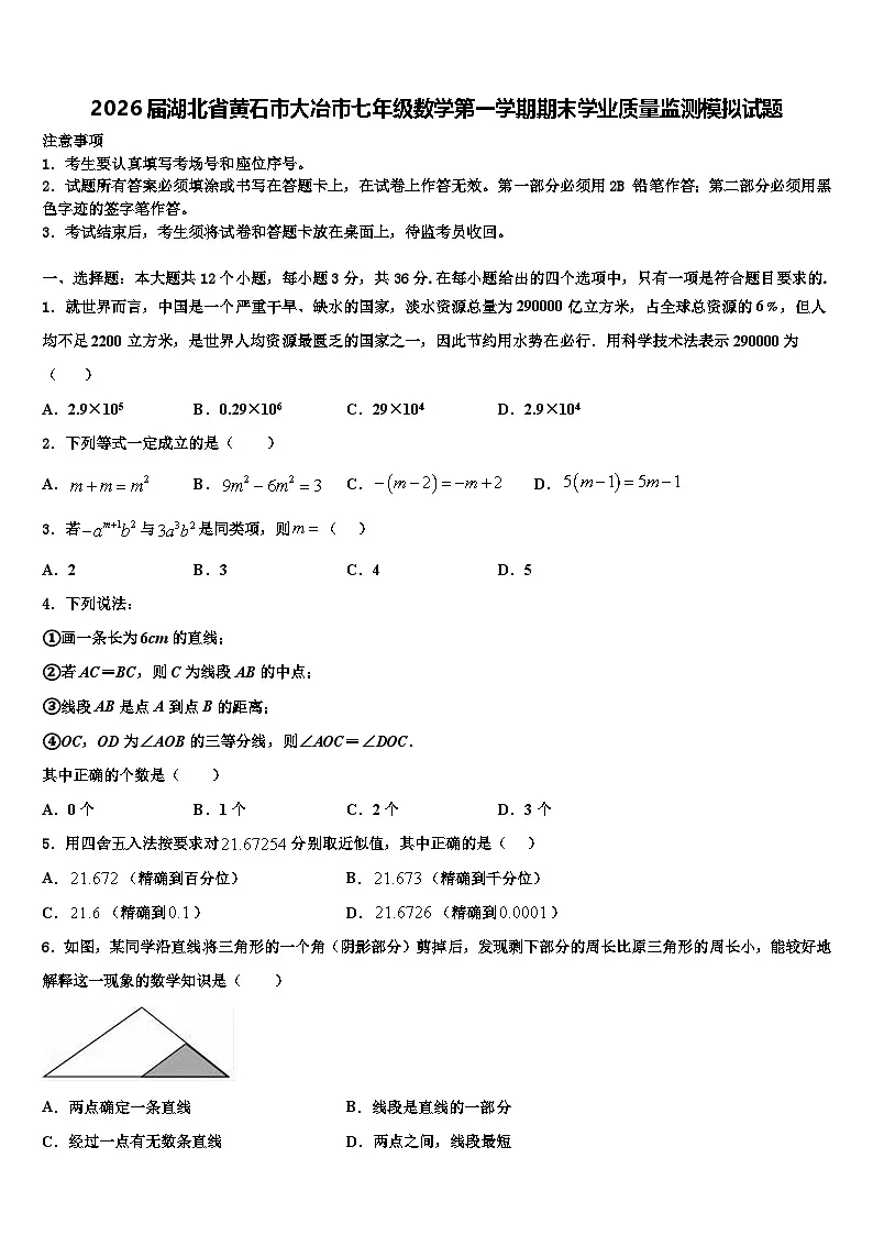 2026届湖北省黄石市大冶市七年级数学第一学期期末学业质量监测模拟试题含解析第1页