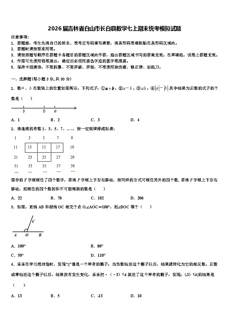 2026届吉林省白山市长白县数学七上期末统考模拟试题含解析第1页