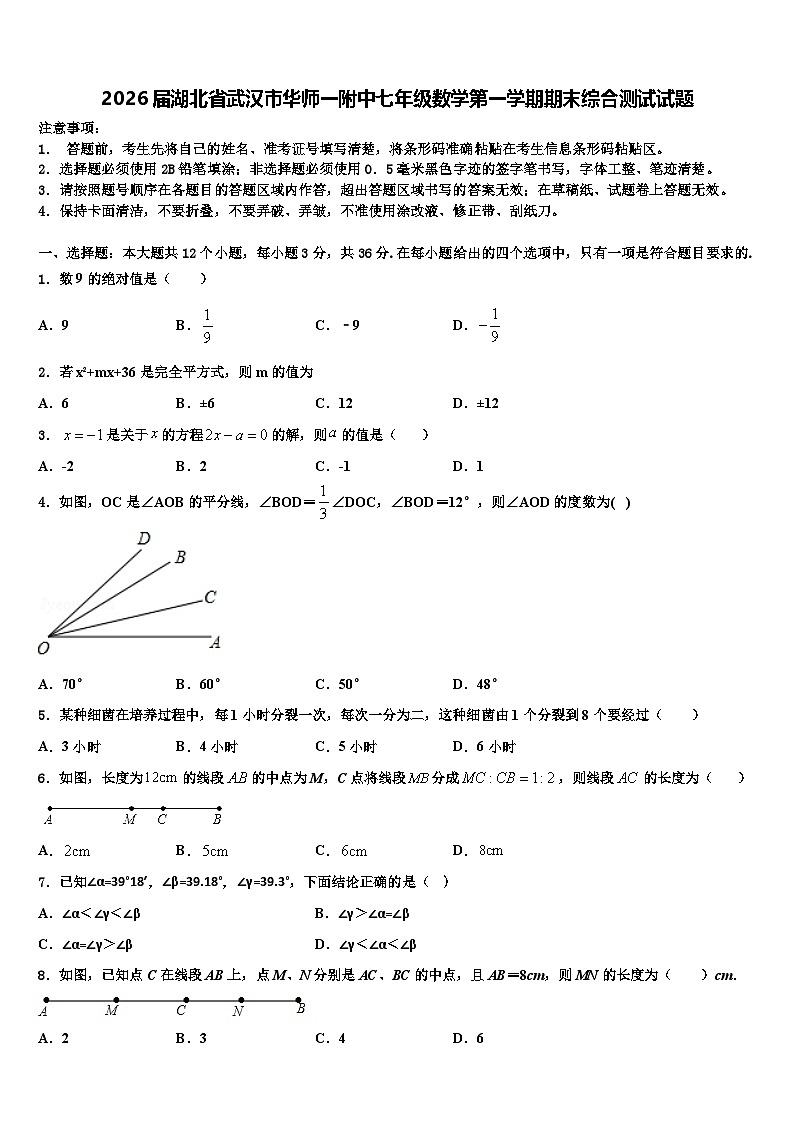 2026届湖北省武汉市华师一附中七年级数学第一学期期末综合测试试题含解析第1页