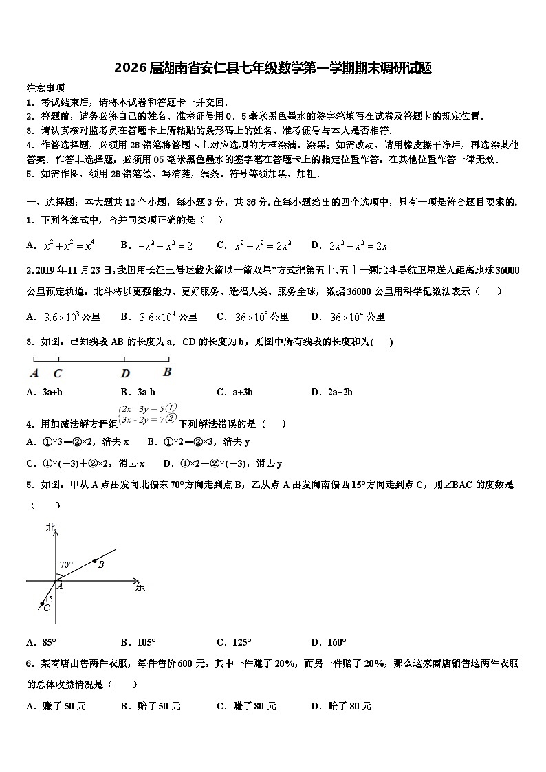 2026届湖南省安仁县七年级数学第一学期期末调研试题含解析第1页