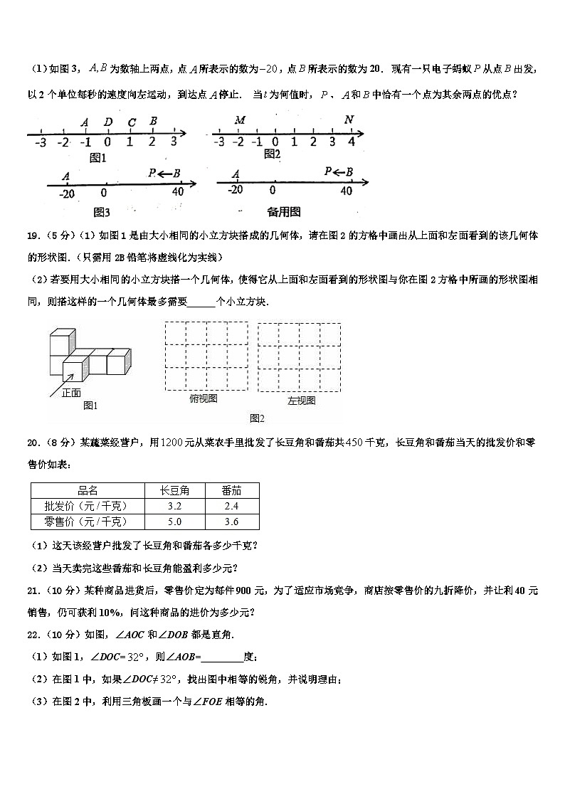 2026届吉林省长春市东北师大附中明珠学校数学七上期末复习检测模拟试题含解析第3页
