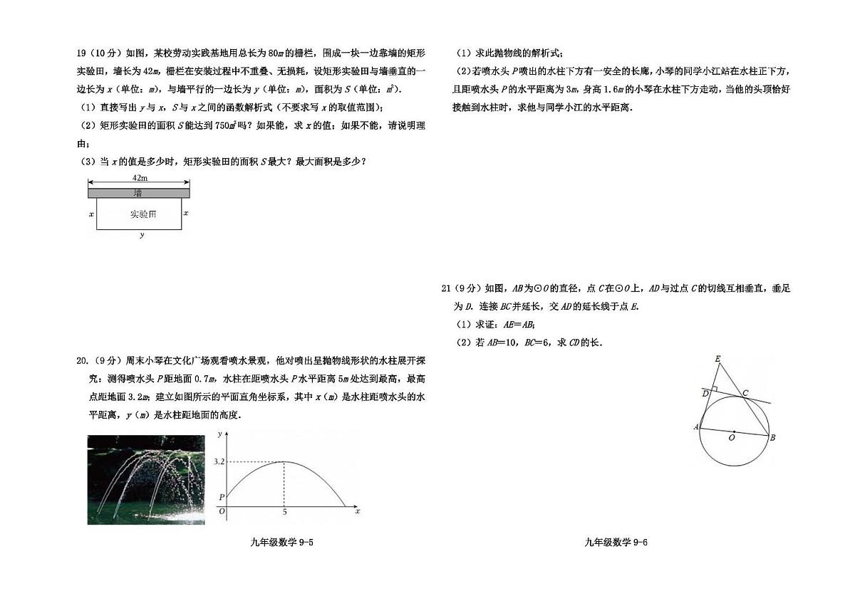 河南省信阳市淮滨县2025-2026学年上 学期期中测试试卷九年级数学第3页