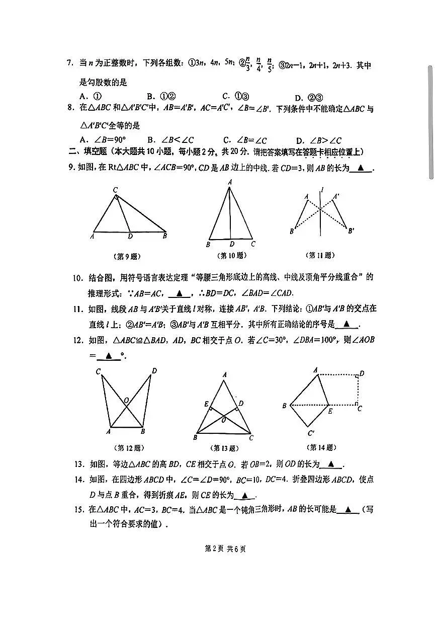 江苏省南京市联合体2024-2025学年八年级上学期期中数学试题第2页