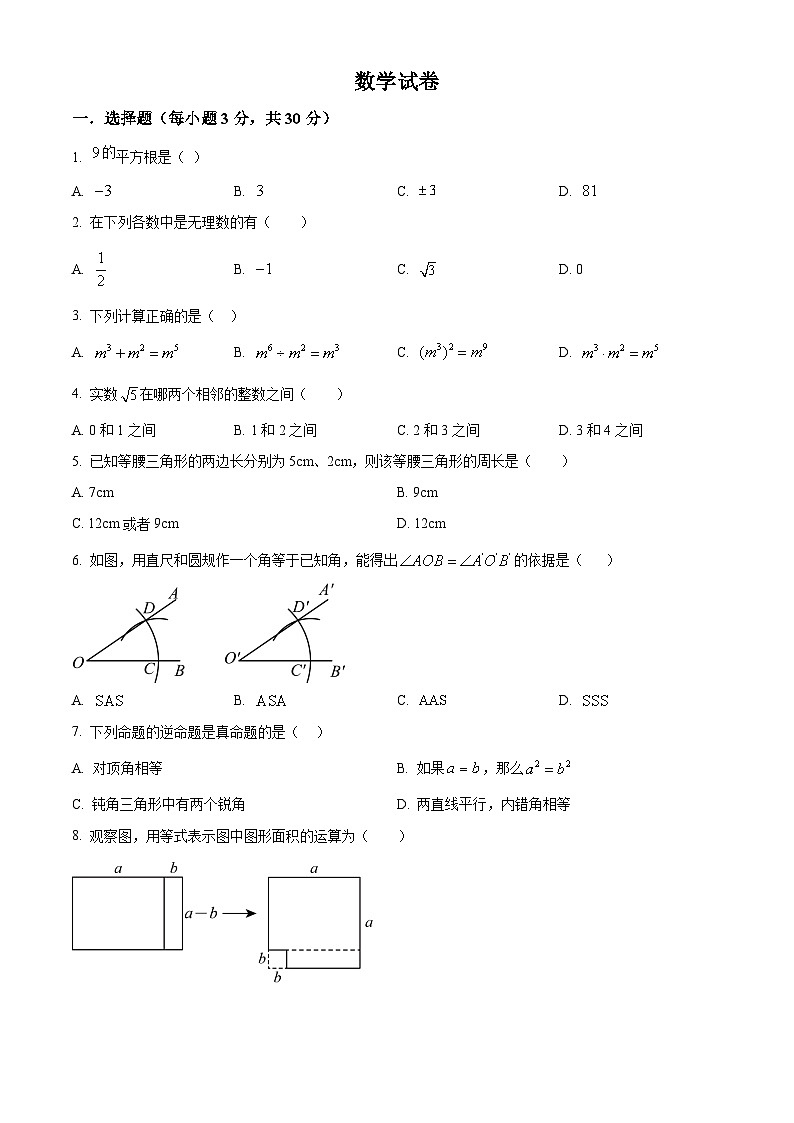 精品解析：吉林省长春市吉林大学附属中学2024-2025学年八年级上学期期中考试数学试题（原卷版）第1页