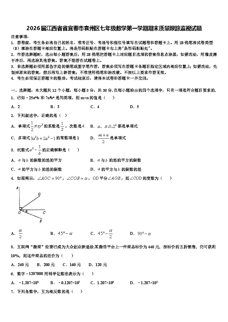 2026届江西省省宜春市袁州区七年级数学第一学期期末质量跟踪监视试题含解析第1页