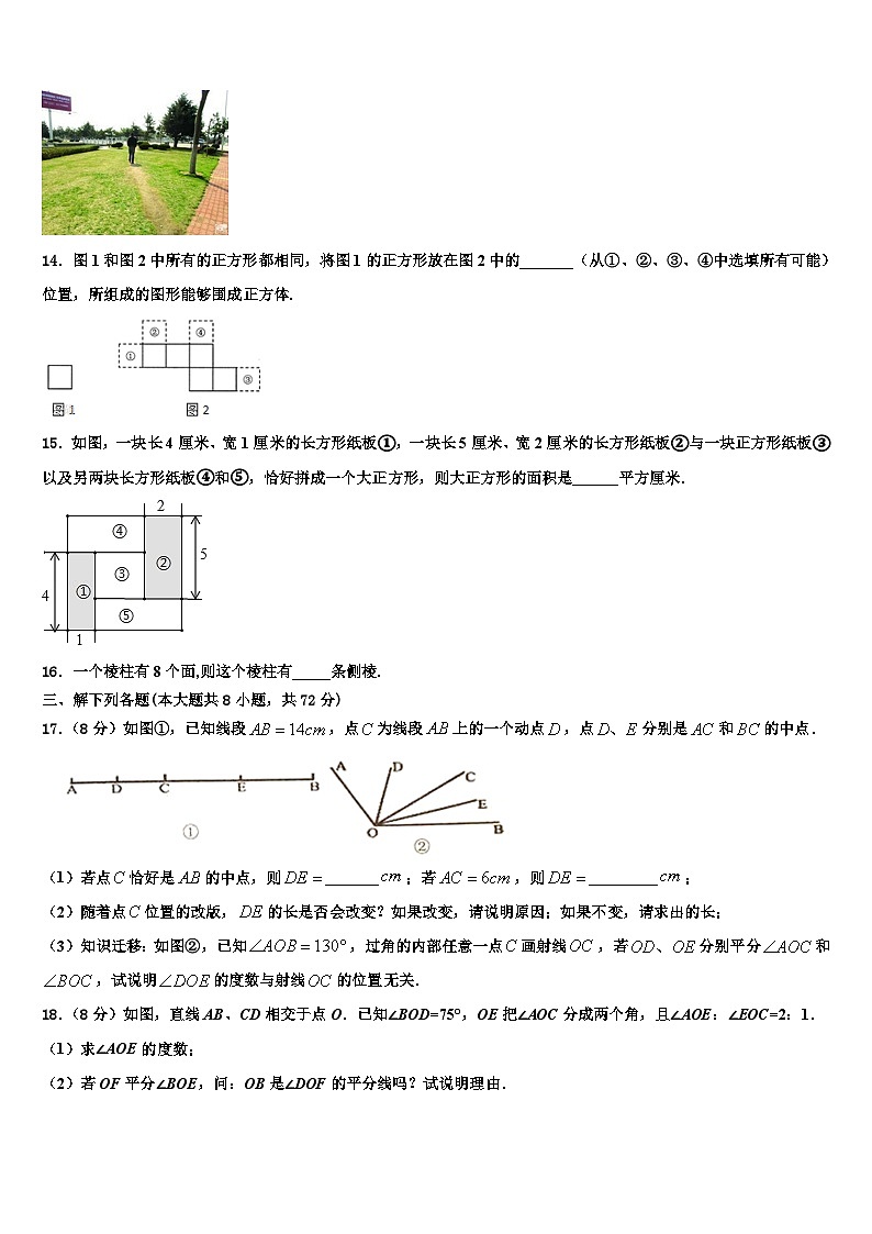 2026届辽宁省朝阳市第一中学数学七上期末调研试题含解析第3页