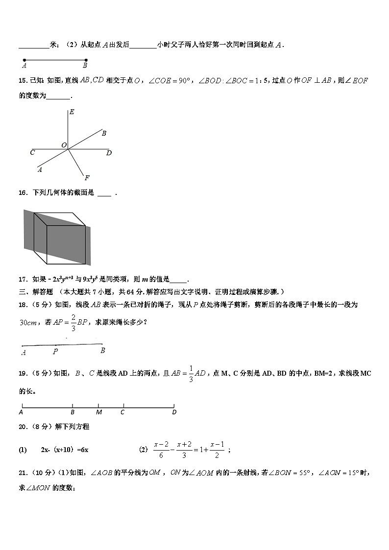 2026届辽宁省台安县七年级数学第一学期期末达标检测模拟试题含解析第3页