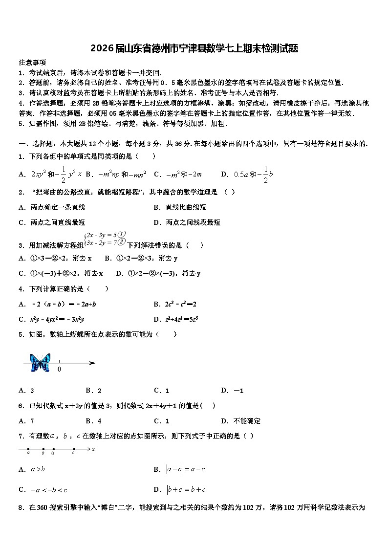 2026届山东省德州市宁津县数学七上期末检测试题含解析第1页