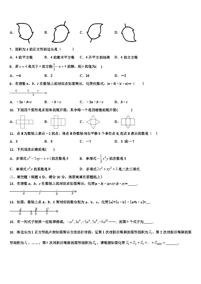 2026届山东省青岛七中学数学七上期末统考试题含解析第2页