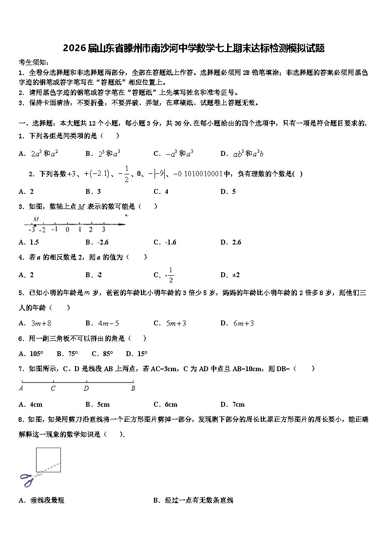 2026届山东省滕州市南沙河中学数学七上期末达标检测模拟试题含解析第1页