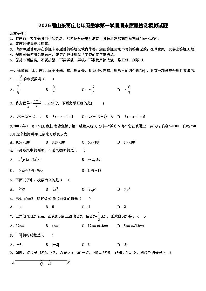 2026届山东枣庄七年级数学第一学期期末质量检测模拟试题含解析第1页