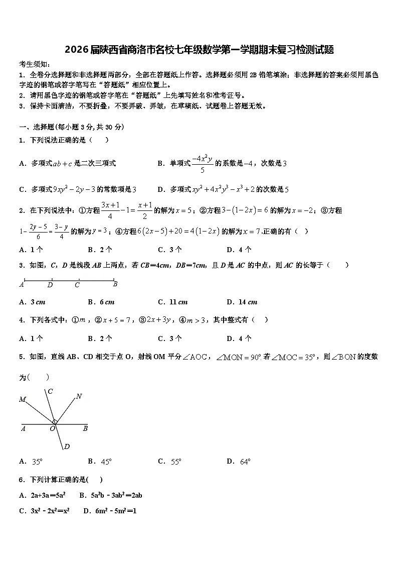 2026届陕西省商洛市名校七年级数学第一学期期末复习检测试题含解析第1页