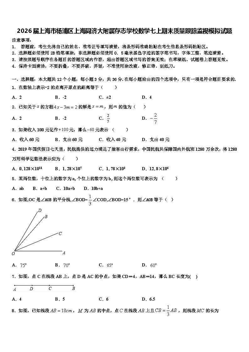 2026届上海市杨浦区上海同济大附属存志学校数学七上期末质量跟踪监视模拟试题含解析第1页