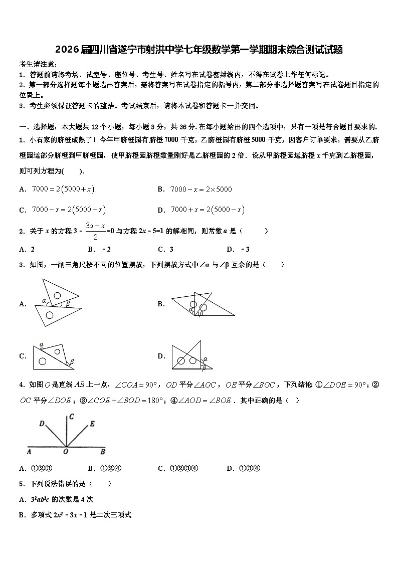 2026届四川省遂宁市射洪中学七年级数学第一学期期末综合测试试题含解析第1页